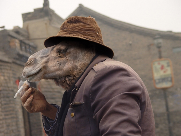 Creation of Smoking Camel: Step 8